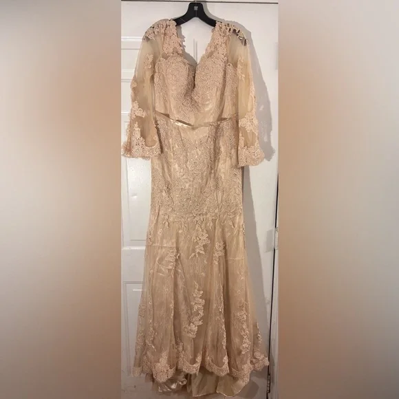 New Chiffon and Lace Evening Gown - Picture 3 of 11